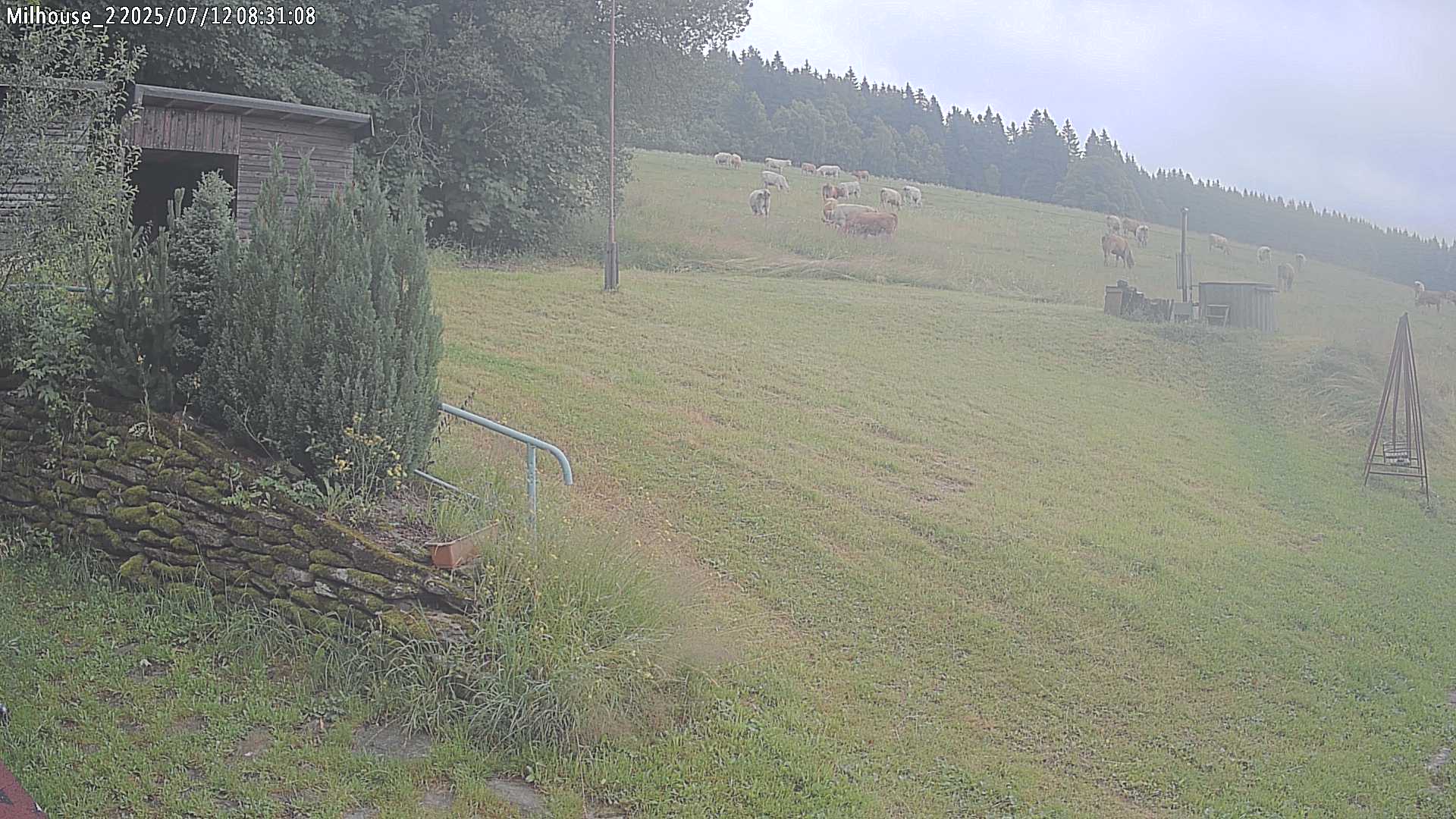 Aktuální stav ve Zdobnici
