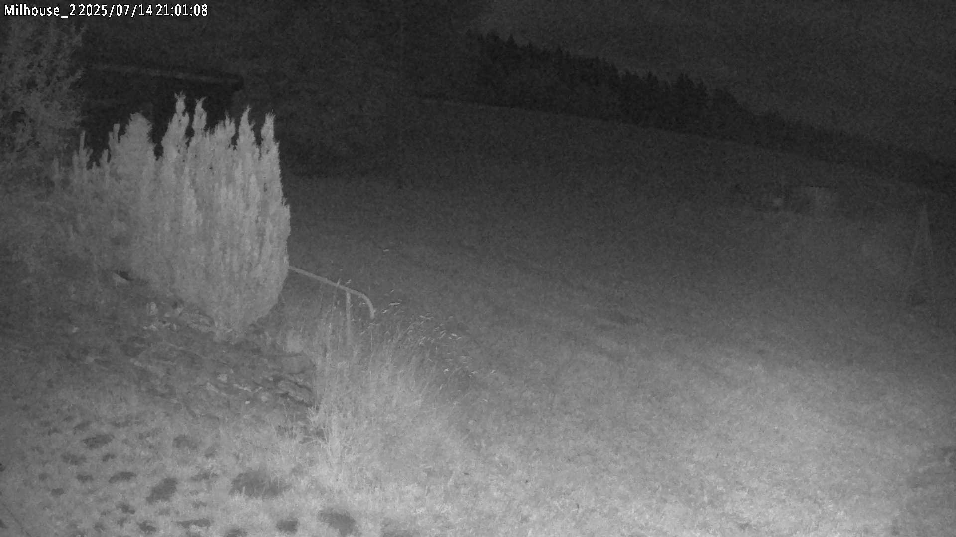 Aktuální stav ve Zdobnici