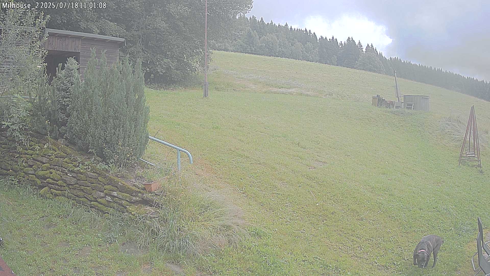 Aktuální stav ve Zdobnici
