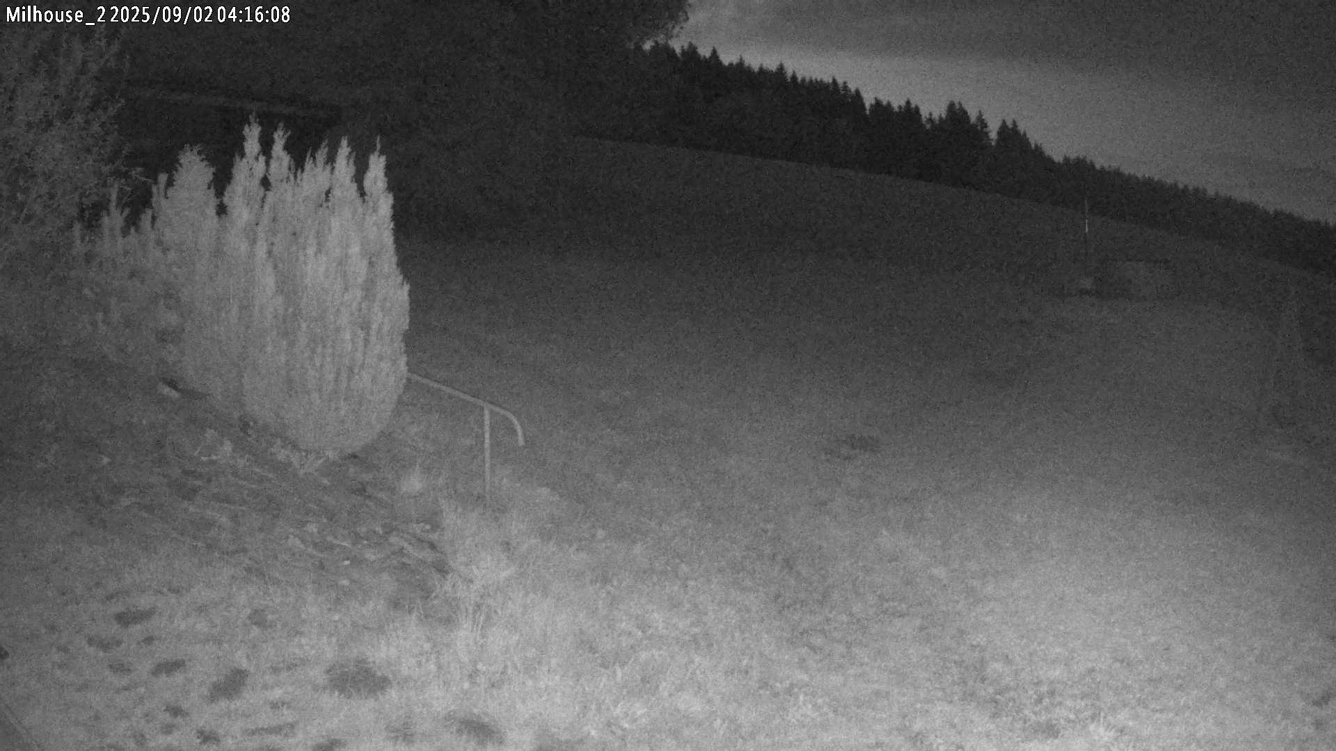 Fotka z 04:16