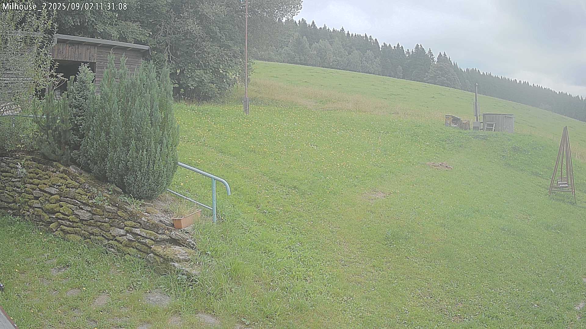 Fotka z 11:31
