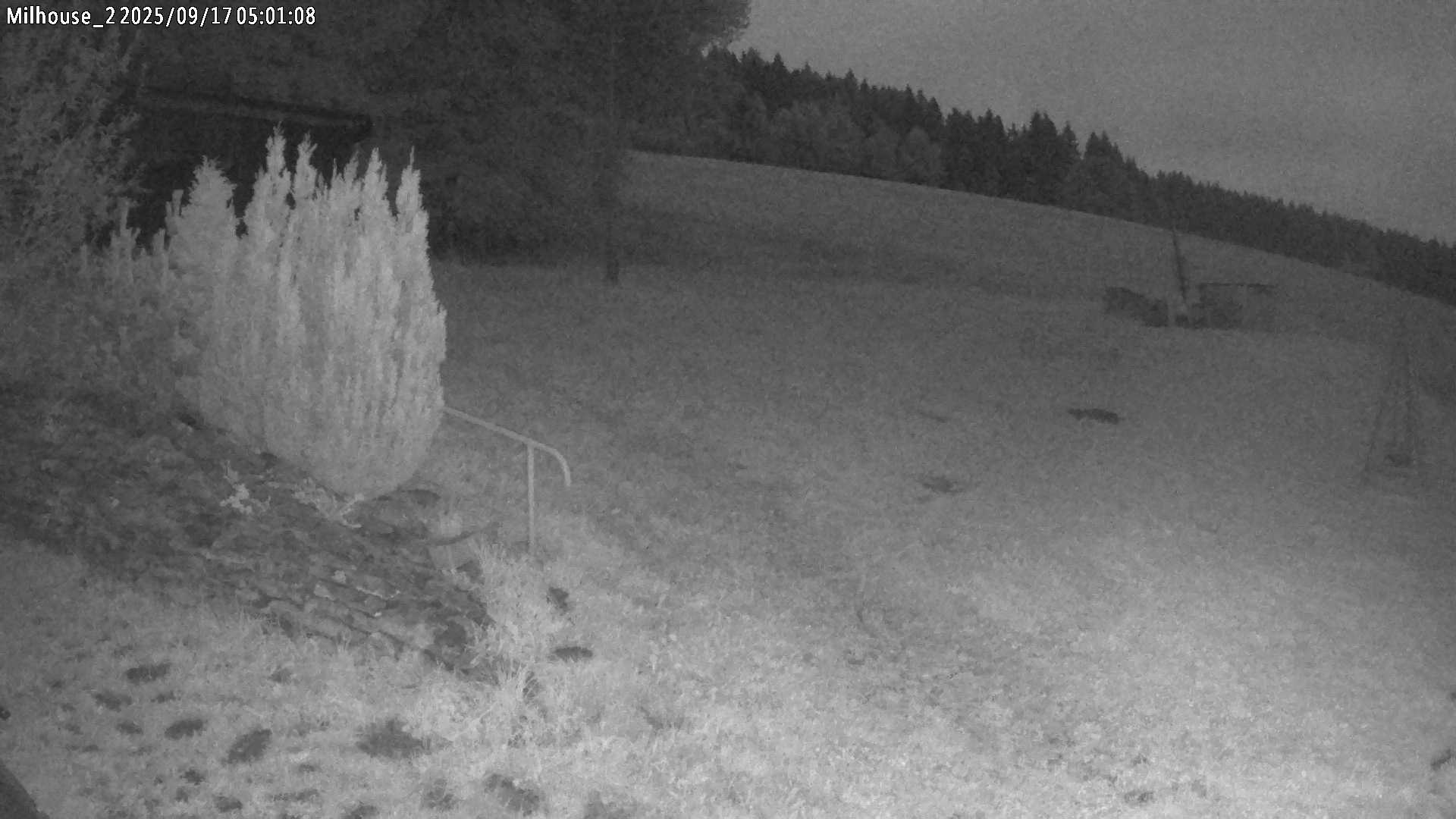 Aktuální stav ve Zdobnici