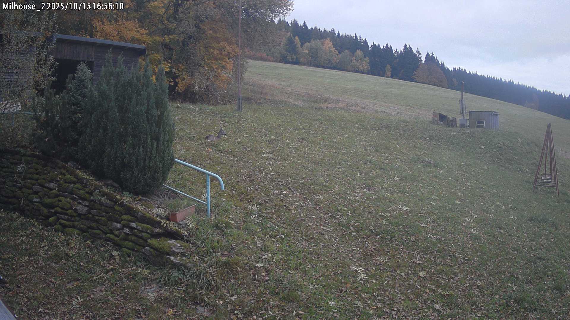 Aktuální stav ve Zdobnici