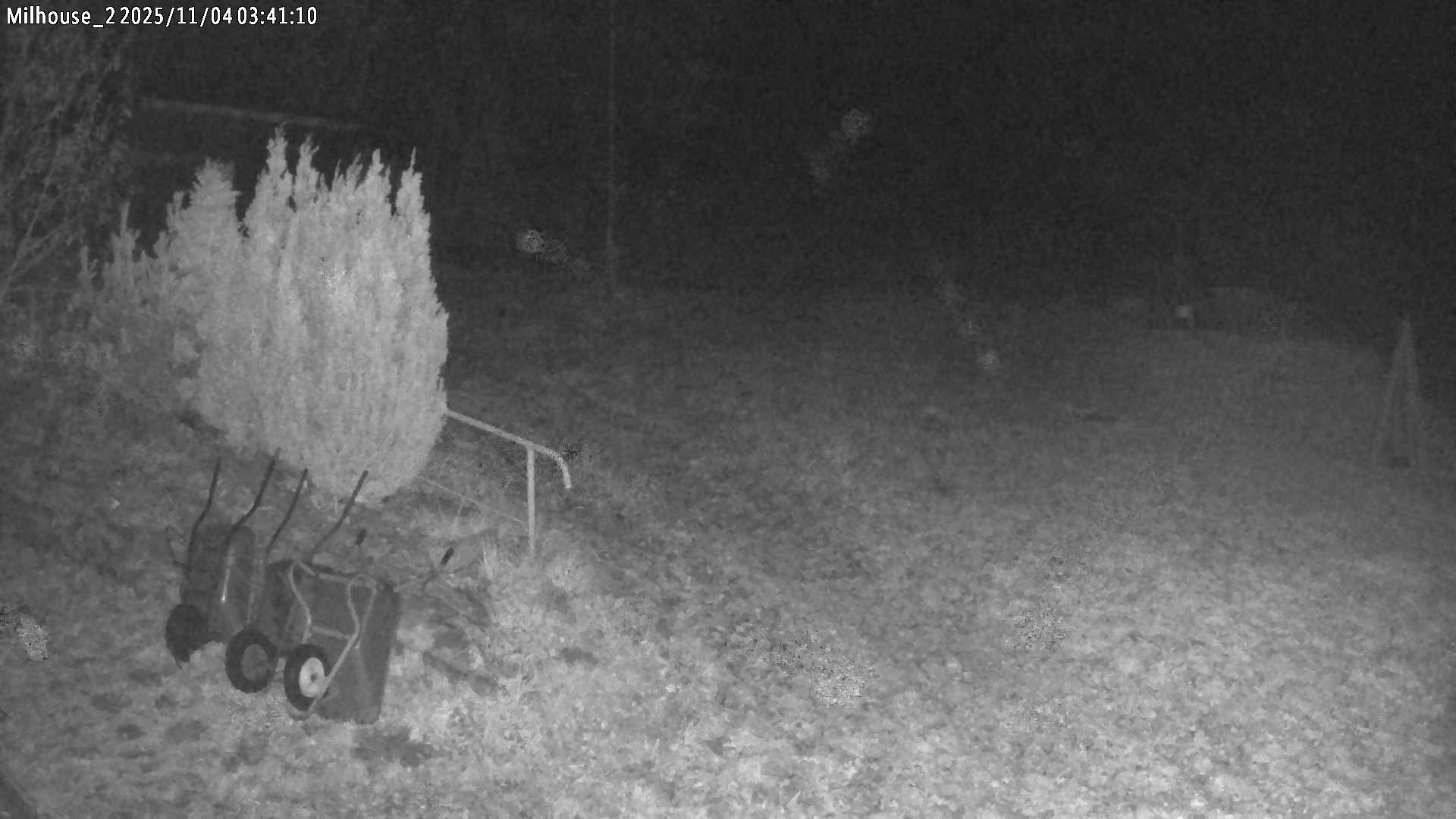 Aktuální stav ve Zdobnici