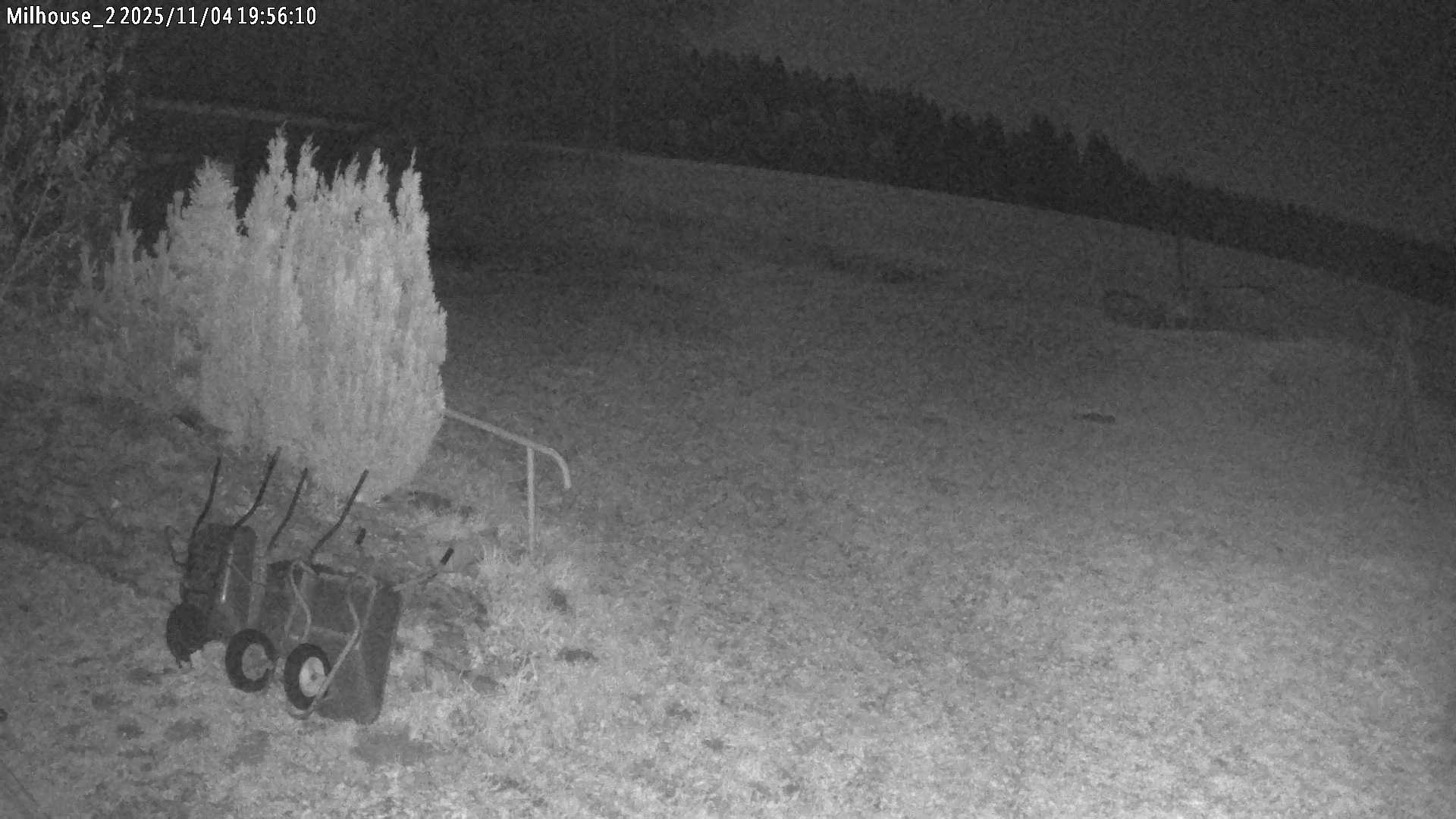 Aktuální stav ve Zdobnici