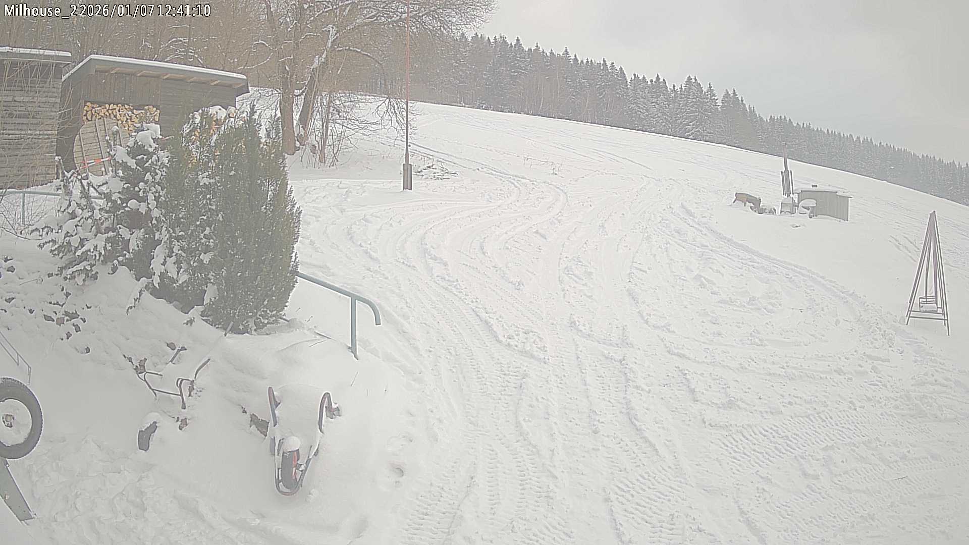 Aktuální stav ve Zdobnici