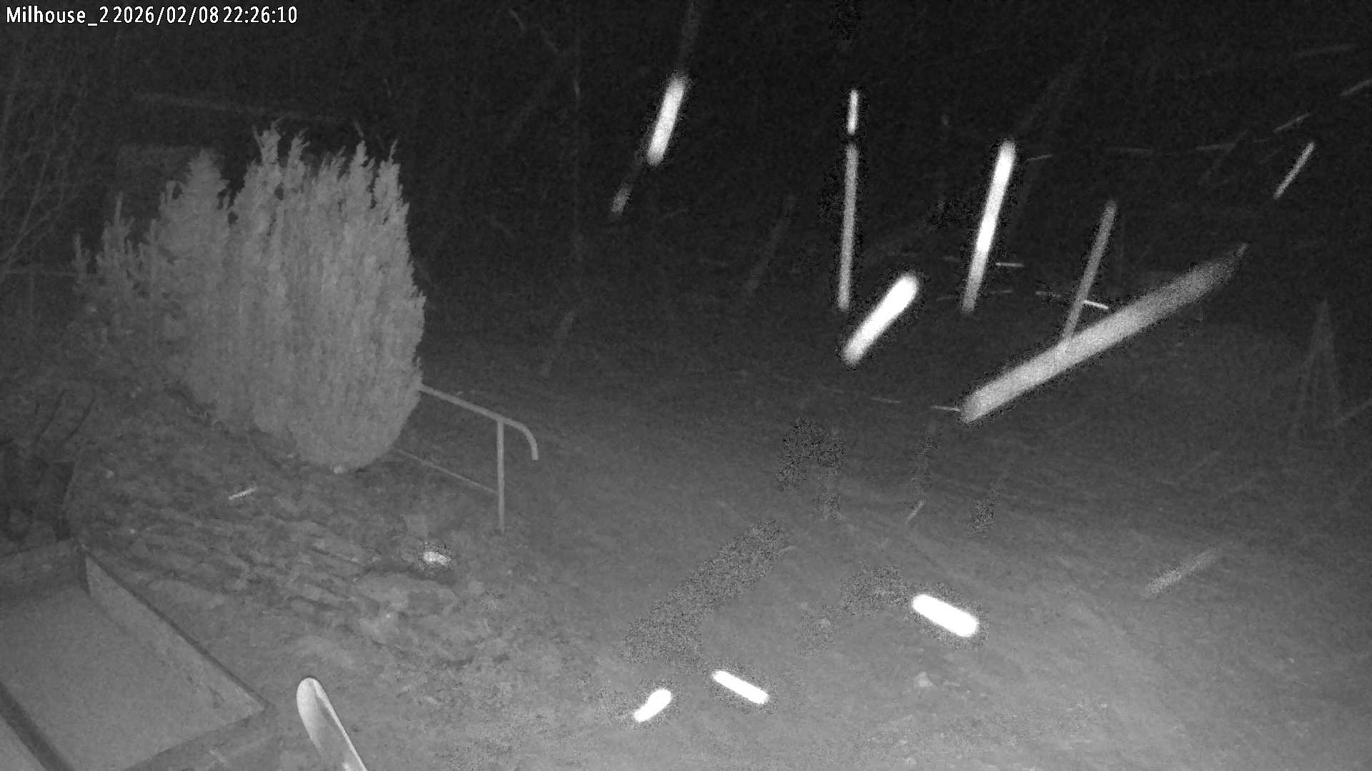 Aktuální stav ve Zdobnici