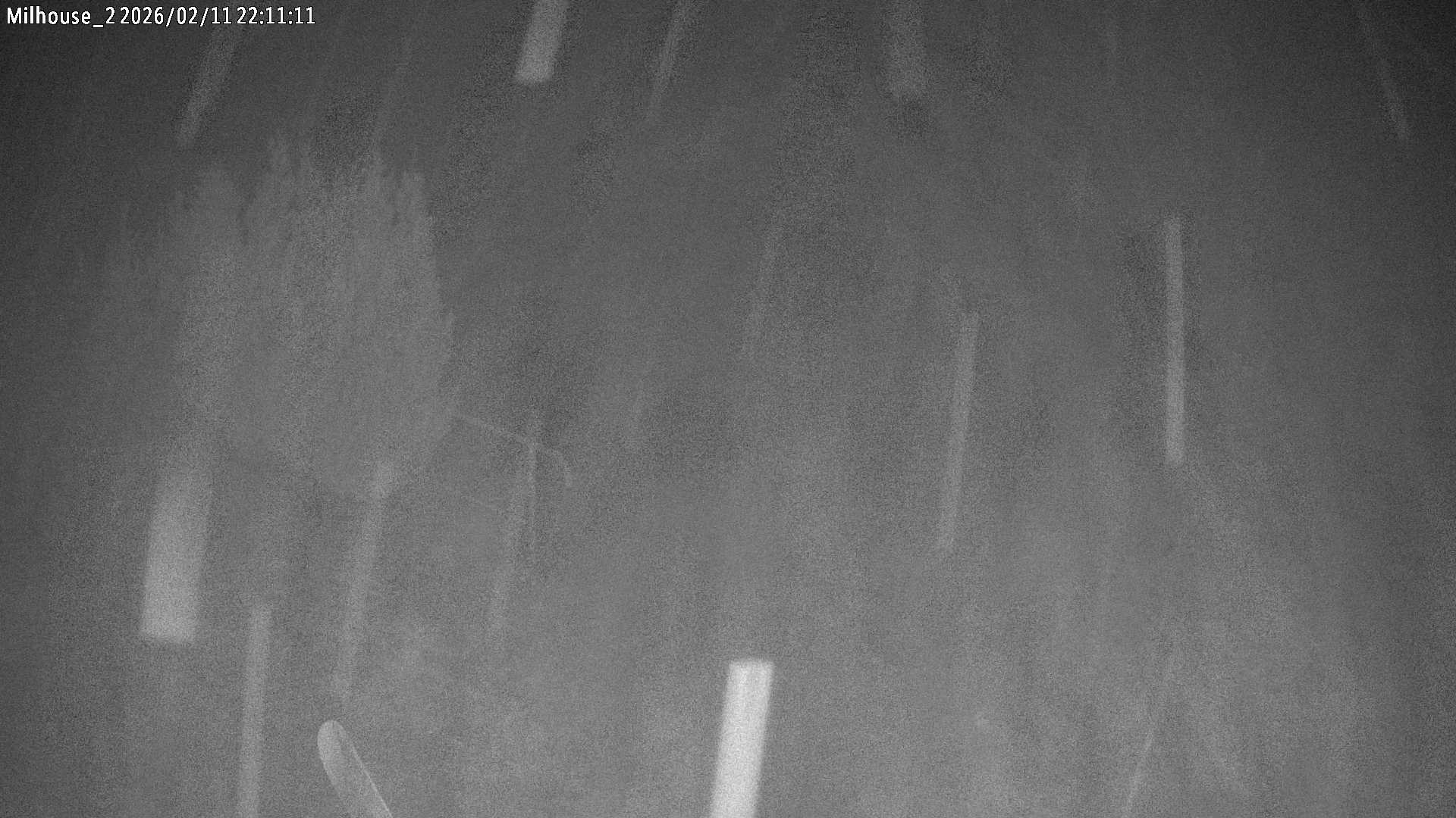 Aktuální stav ve Zdobnici