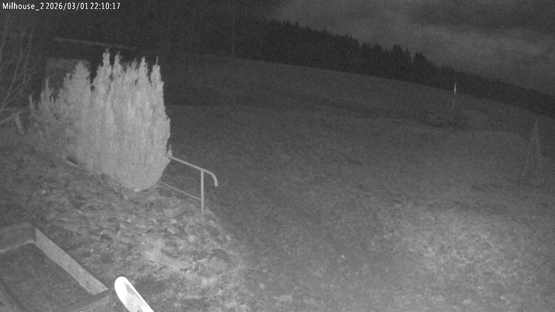 Aktuální stav ve Zdobnici