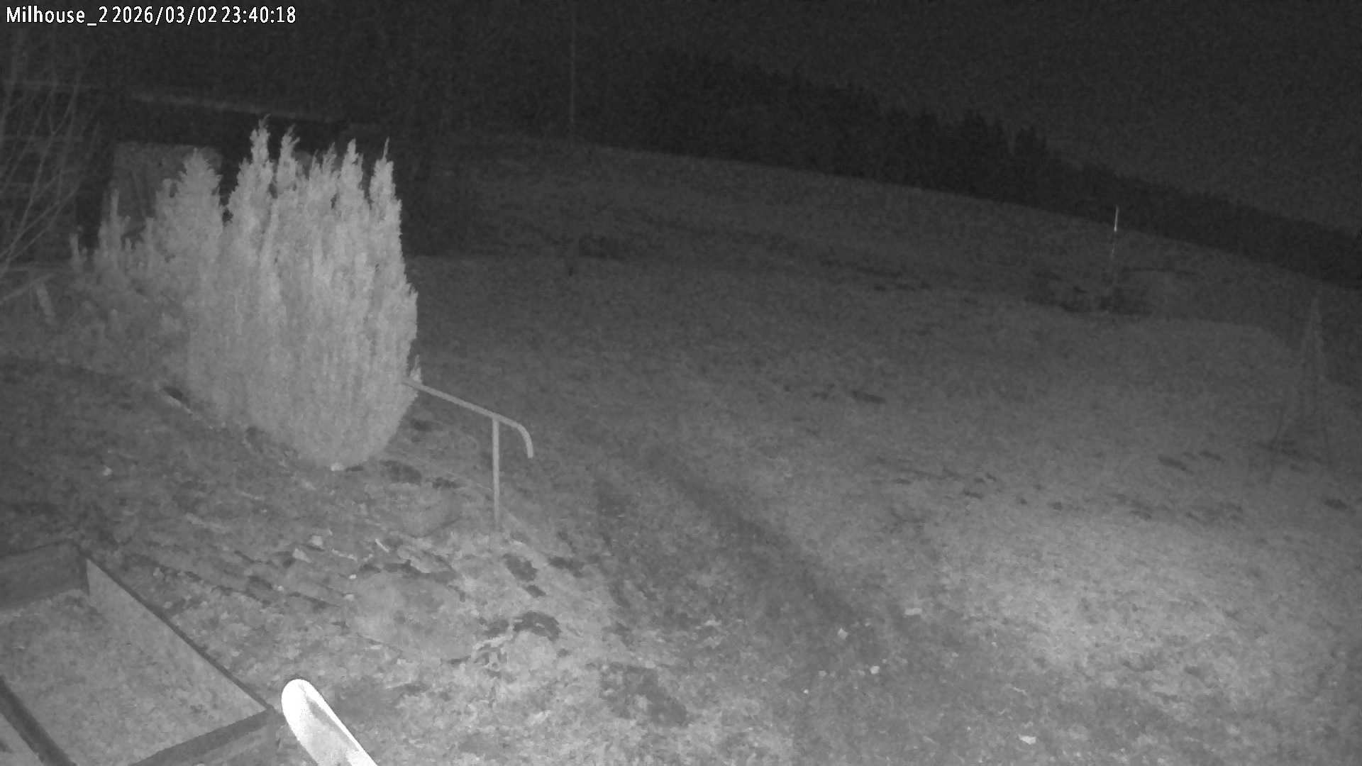 Aktuální stav ve Zdobnici