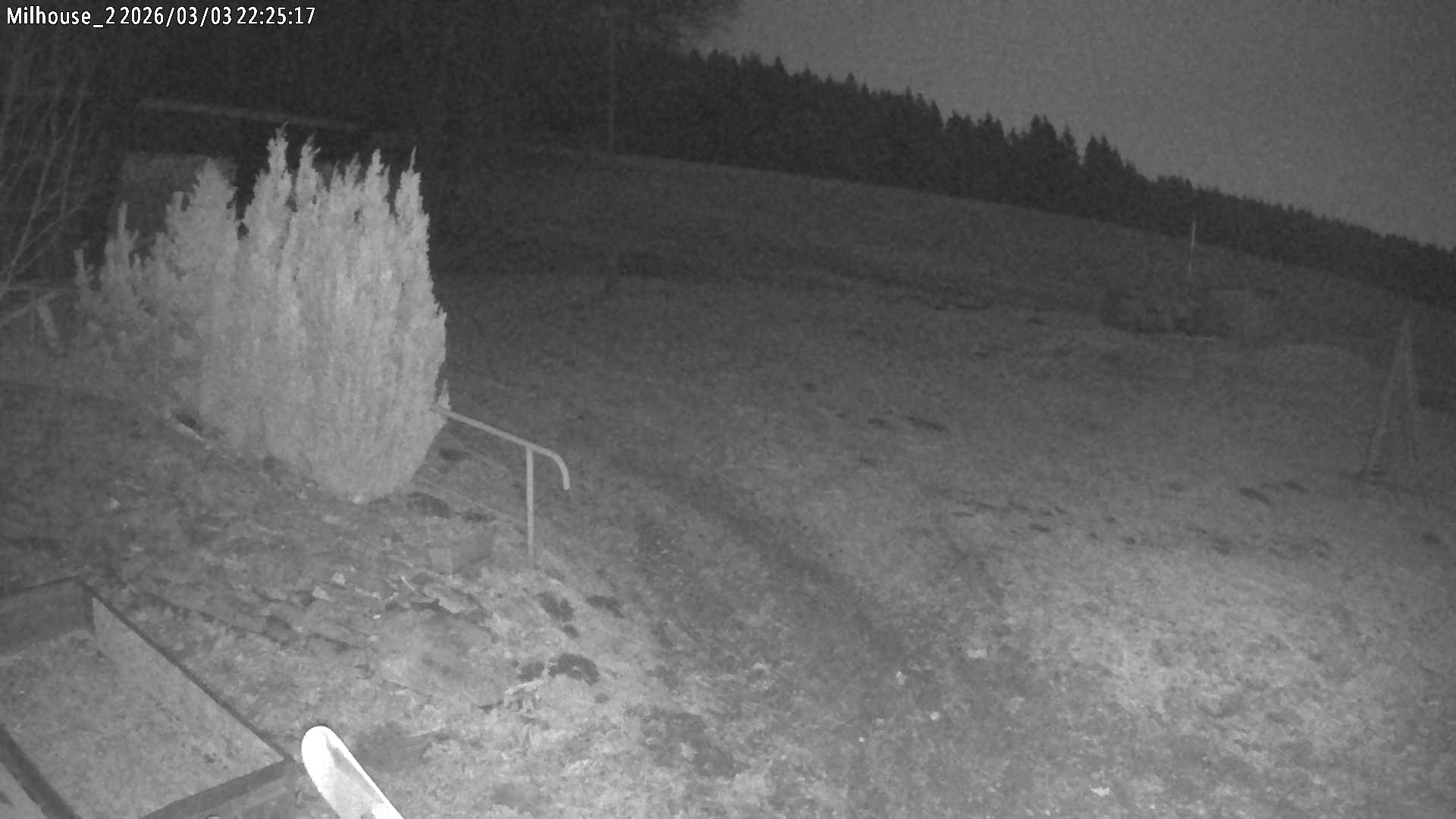 Aktuální stav ve Zdobnici