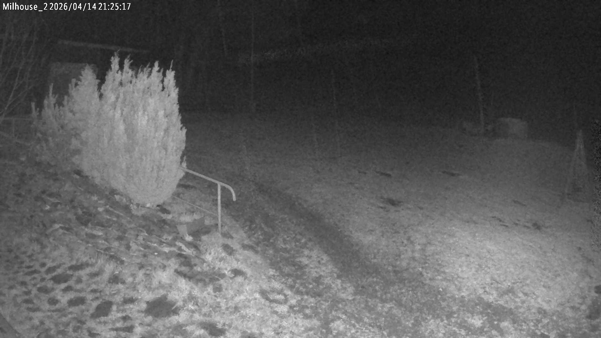 Aktuální stav ve Zdobnici