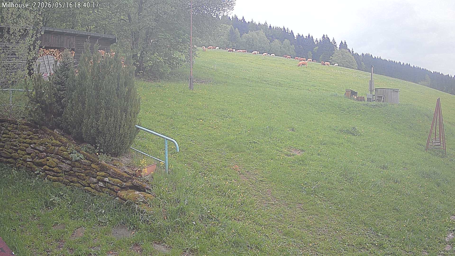 Aktuální stav ve Zdobnici
