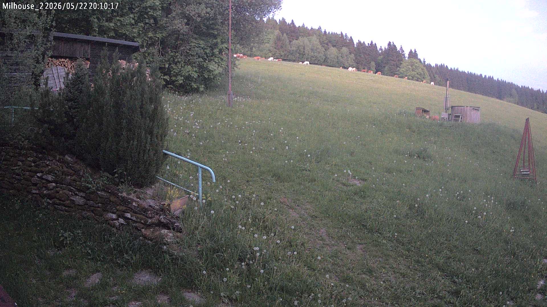 Aktuální stav ve Zdobnici