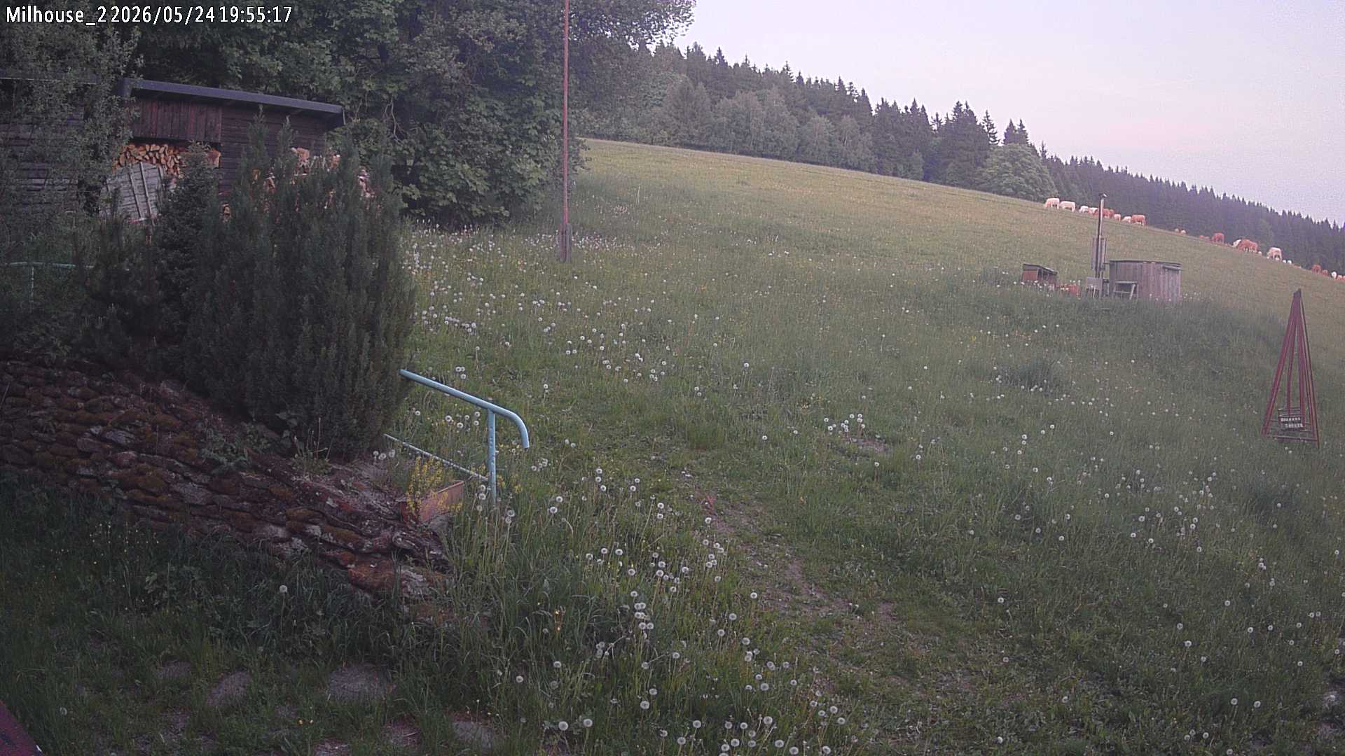 Aktuální stav ve Zdobnici