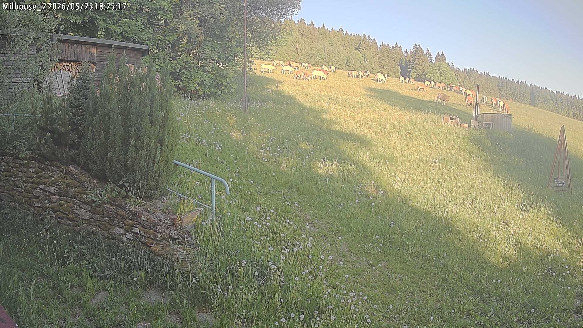 Aktuální stav ve Zdobnici