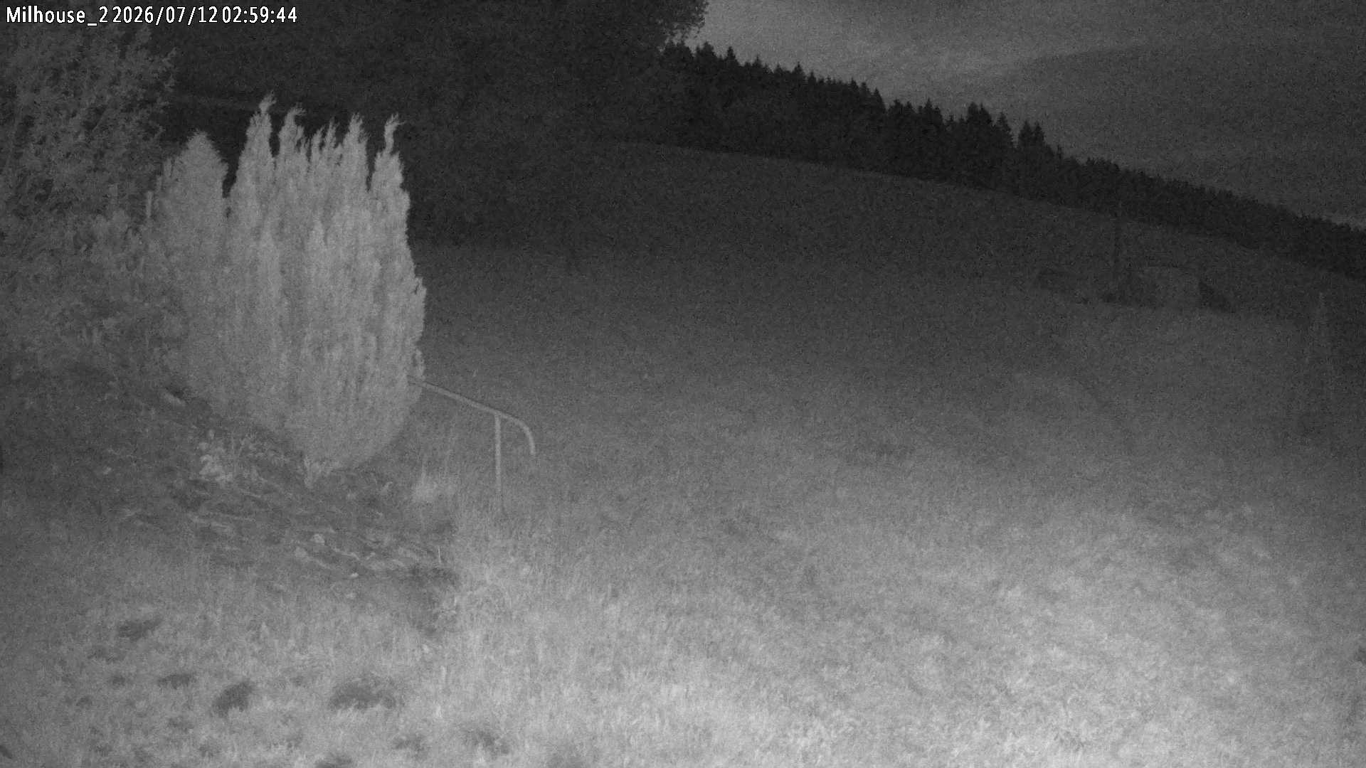 Fotka z 02:59