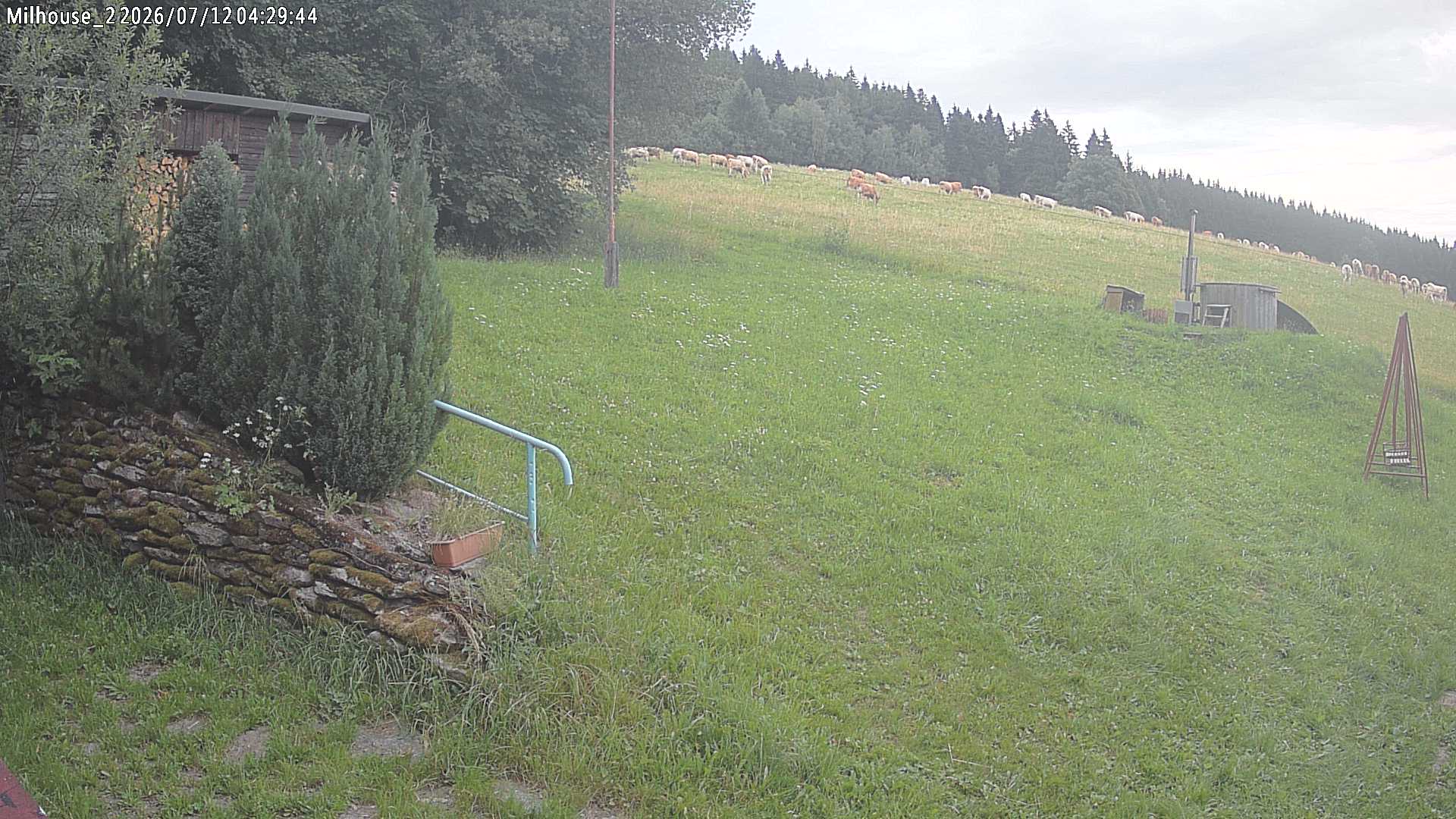 Fotka z 04:29