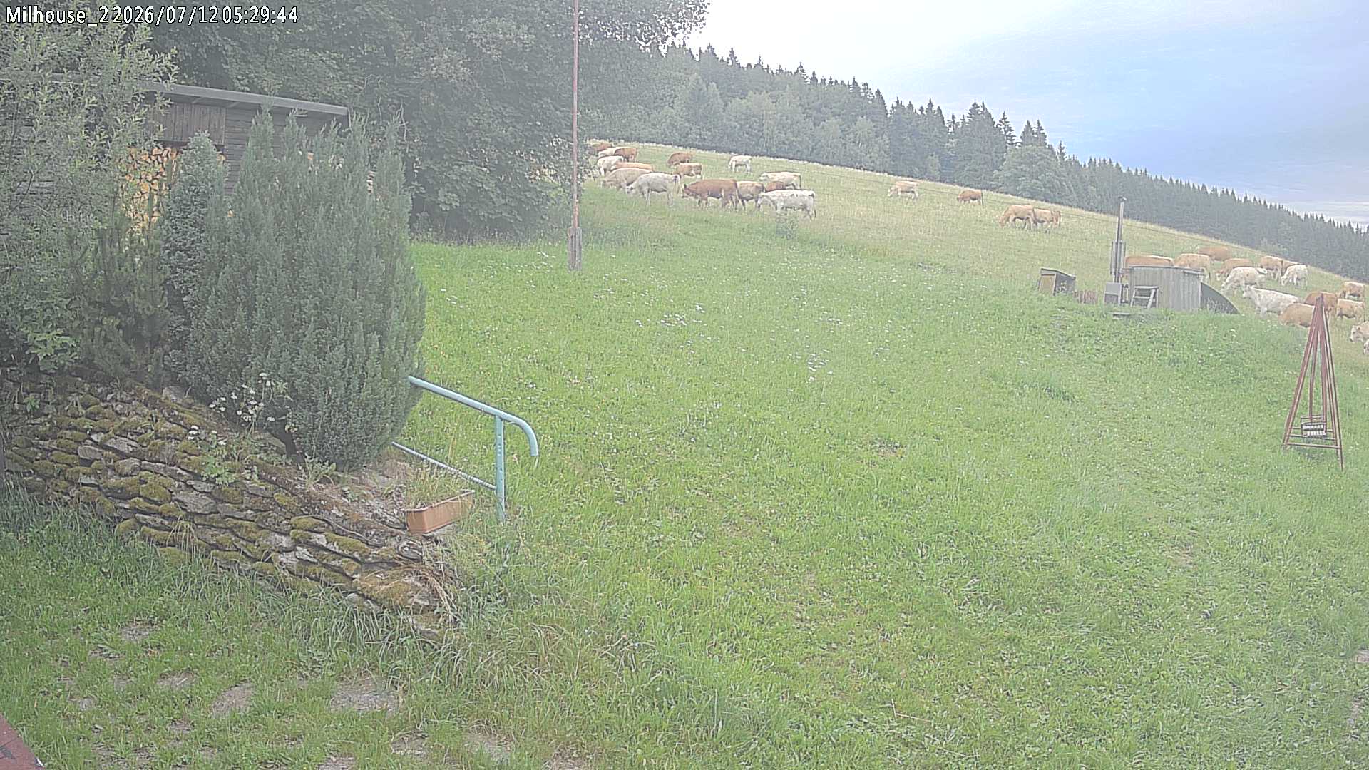 Fotka z 05:29