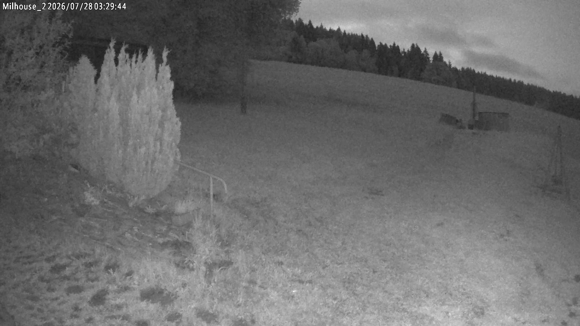 Fotka z 03:29