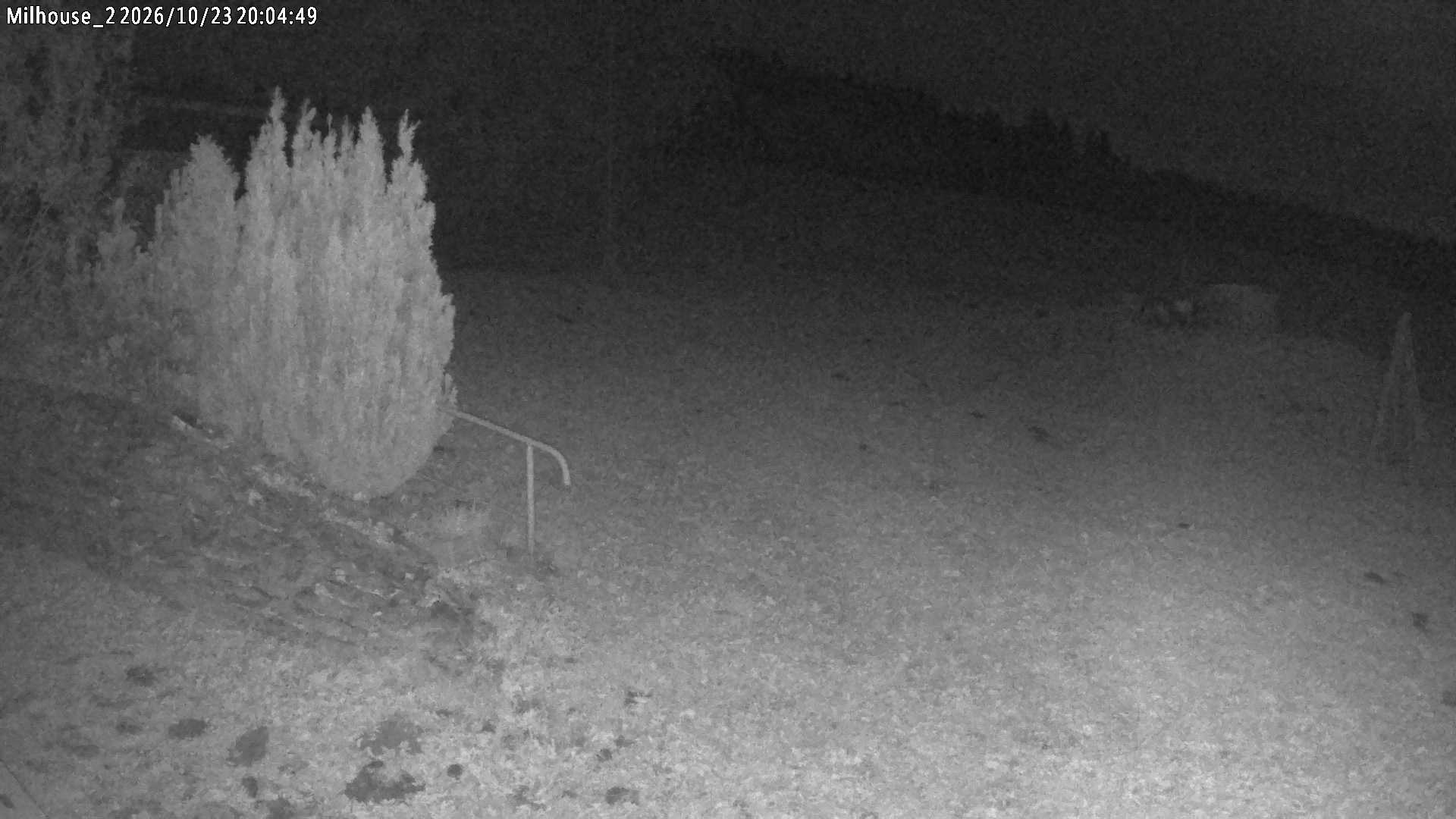 Aktuální stav ve Zdobnici
